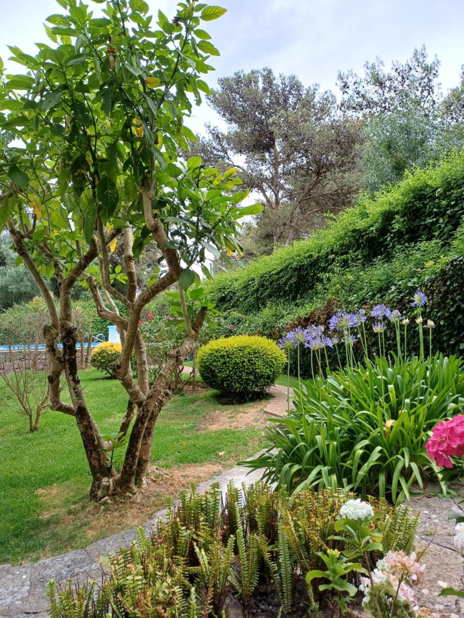 Appartment With Swiming Pool Cascais Esterno foto
